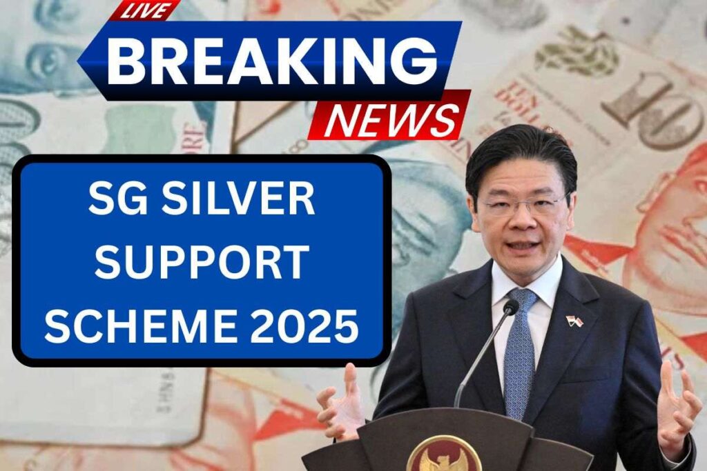 SG Silver Support Scheme 2025